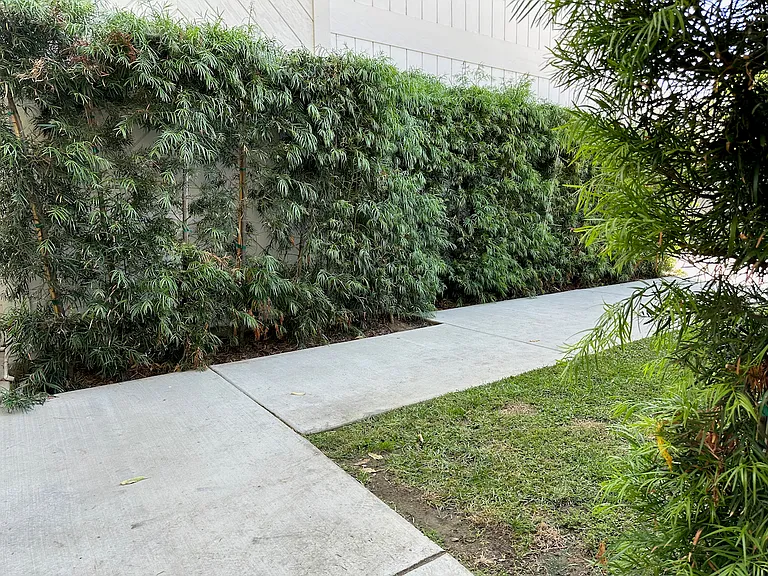 4050 Bemis St #3 — Photo 15