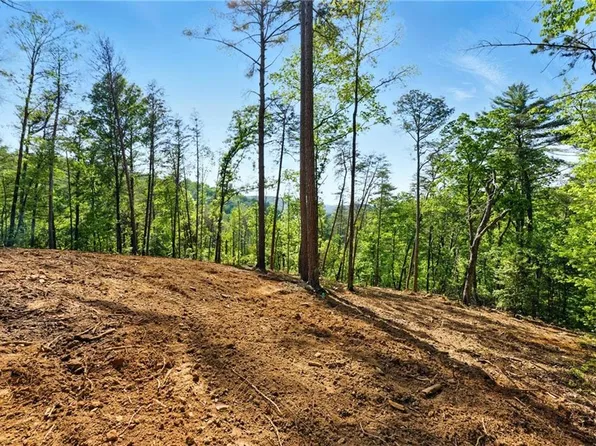 0 Dell Moore Rd #2, Marble Hill, GA 30148