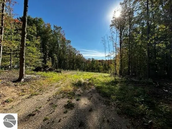 0 Antioch Dr, Mesick, MI 49668