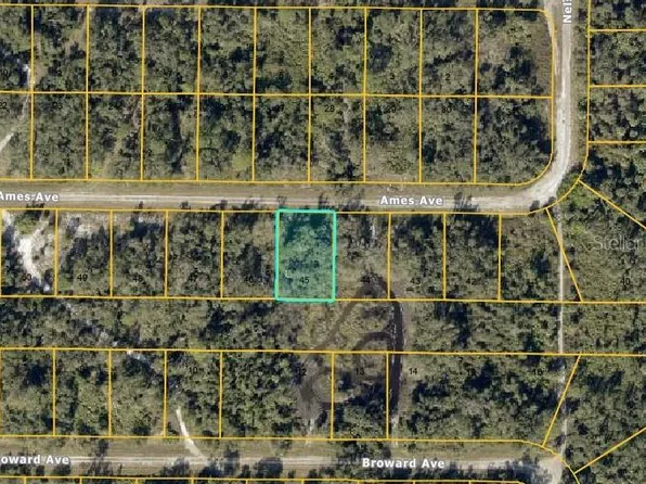 LOT 45 Ames Ave Lot 45, North Pt, FL 34291