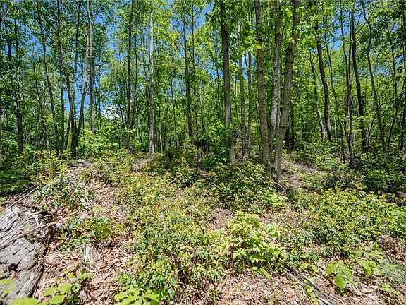 3rd image of 0 Beaver Dam Road