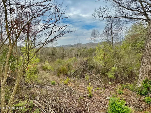 Overlook Ln, Clinton, TN 37716