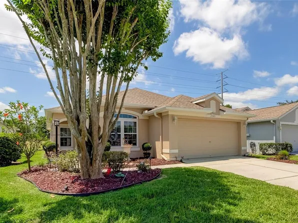 2949 Banyan Hill Ln, Land O Lakes, FL 34639