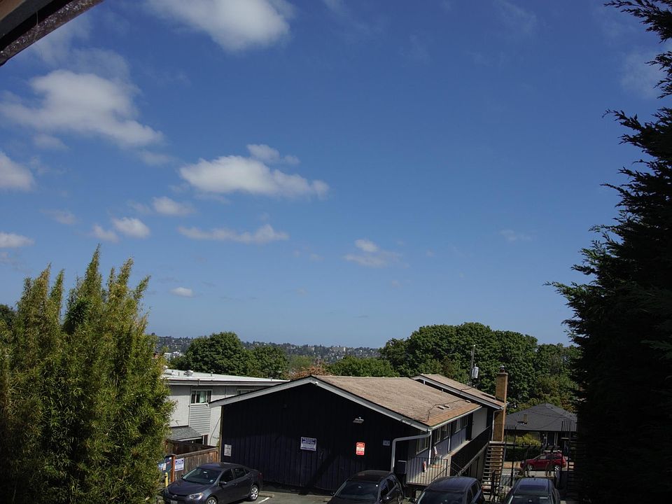 View from deck