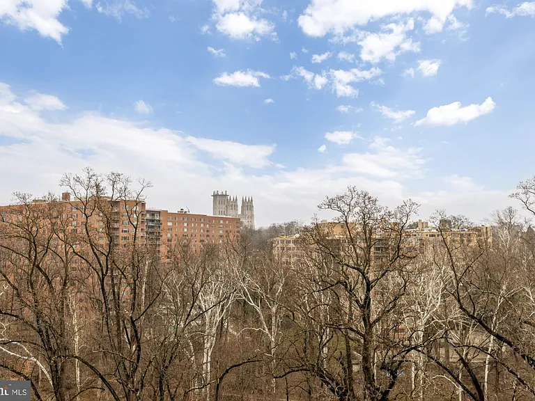 4201 Cathedral Ave NW #1009 — Photo 34
