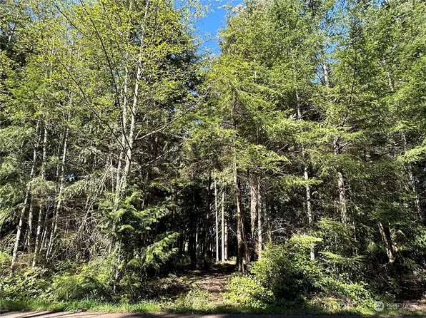 999 Manzanita Drive, Sequim, WA 98382