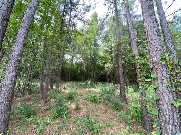 850 Pinewood Ave #850, Bessemer, AL 35023