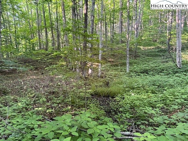 2nd image of Lot 56 & 57 Beechwood Circle