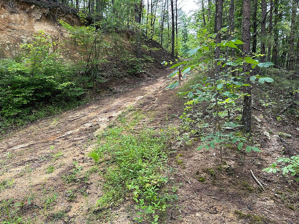 0 Bogard Rd, Cosby, TN 37722 Zillow