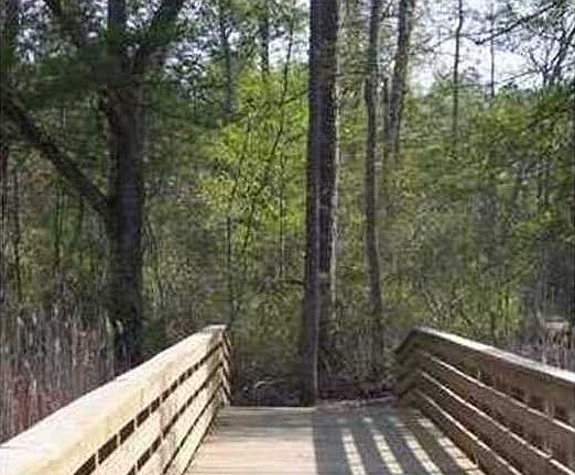 4th image of 205 Wildlife Trce