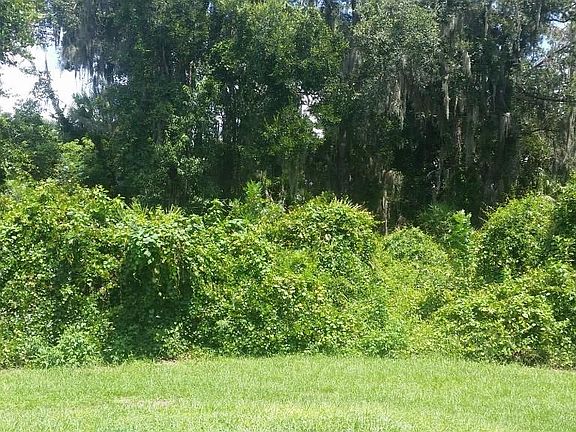 3rd image of 827 Debary Ave