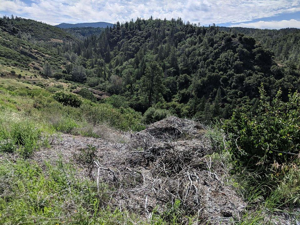 33851 Ponderosa Way Paynes Creek CA Zillow