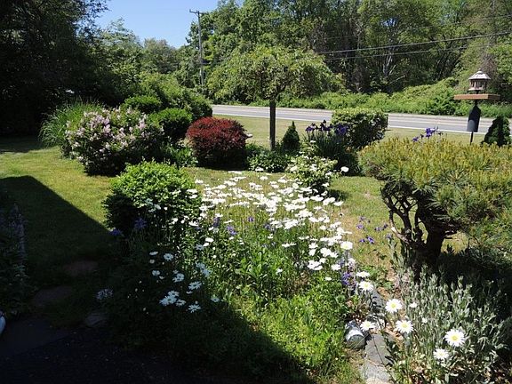 Established Colorful Gardens