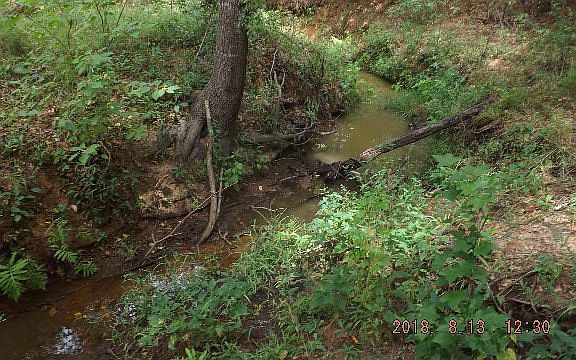 5th image of 4800 An County Road 118