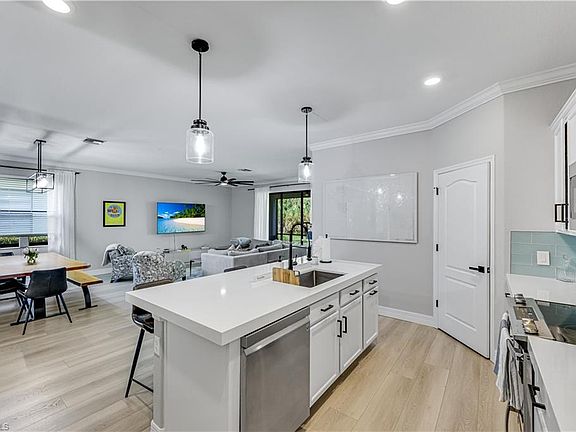5th image of 4331 Raffia Palm CIR