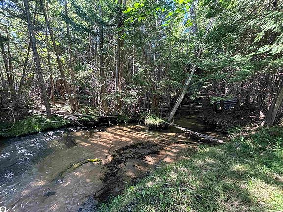 4th image of 4715 Springbrook Dr
