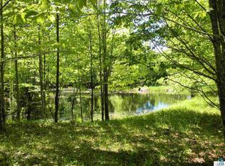 Xxx Hollander Rd, Iron River, WI 54847