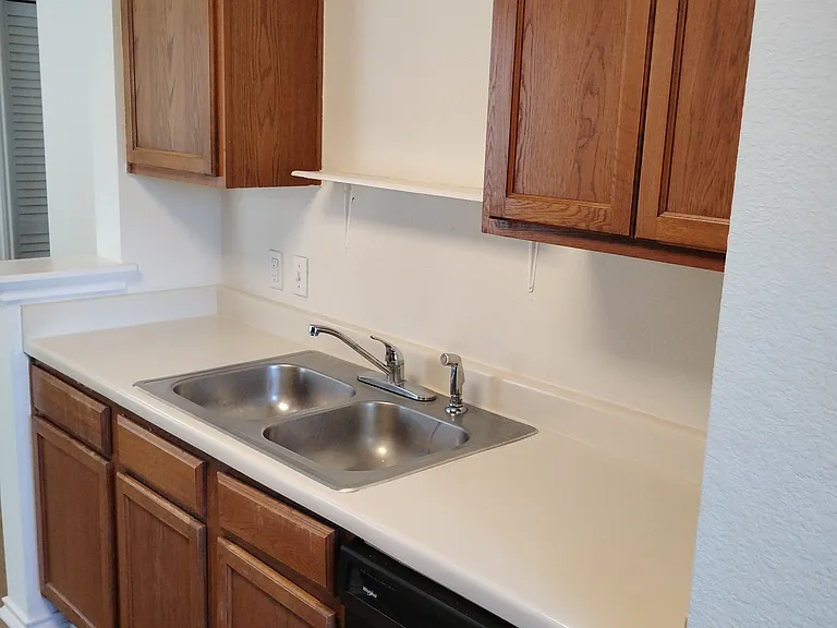 kitchen sink + dishwasher + shelf_05282026