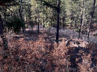 238 Deer Ridge Drive, Bayfield, CO 81122