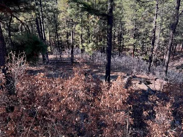 238 Deer Ridge Drive, Bayfield, CO 81122