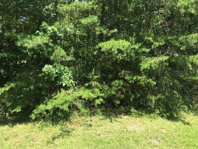 13 Hedgewood Cir LOT 198, Crossville, TN, 38558