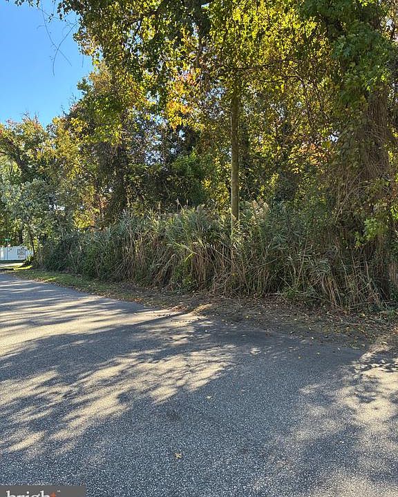2nd image of Bush Ave