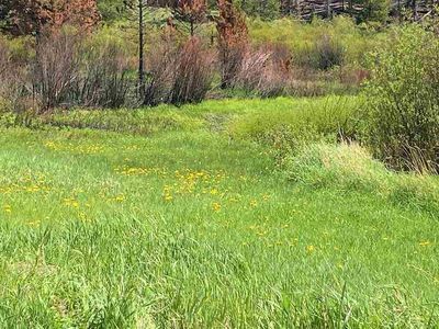 242 Lake Creek Rd, Laramie, WY, 82070