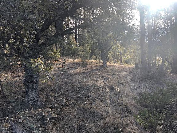 2nd image of 115 Horse Shoe Loop