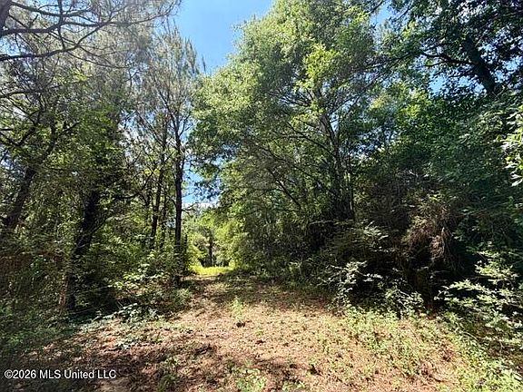 4th image of Vaniel Holmes Rd