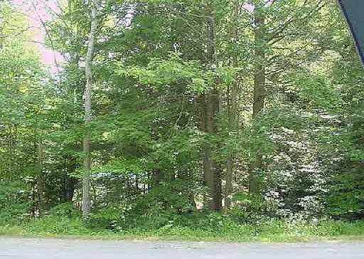 2nd image of p/o lot 42 Bradford Road
