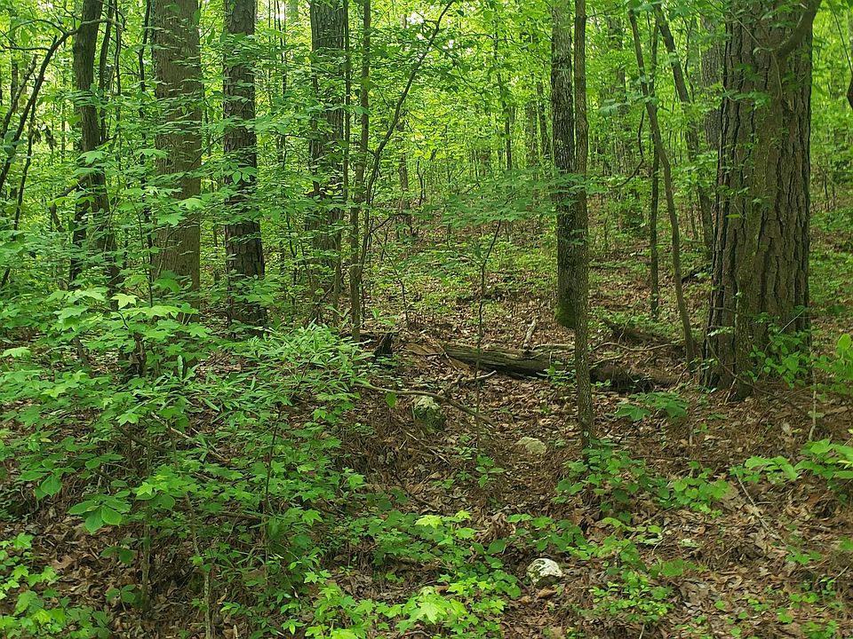 2nd image of 0 Weems Rd #1