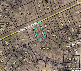 693 Lake Harbor Trl, Martin, GA, 30557