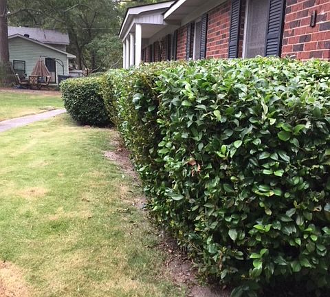 side view from driveway 