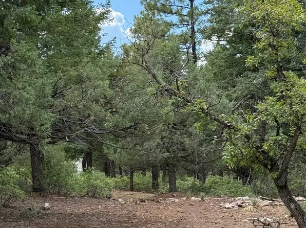 Unit 4 Lakeview, Chama, NM 87520