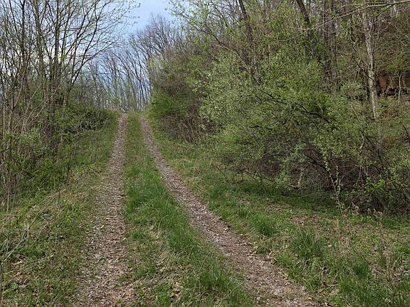 3rd image of Crooked Fork Rd