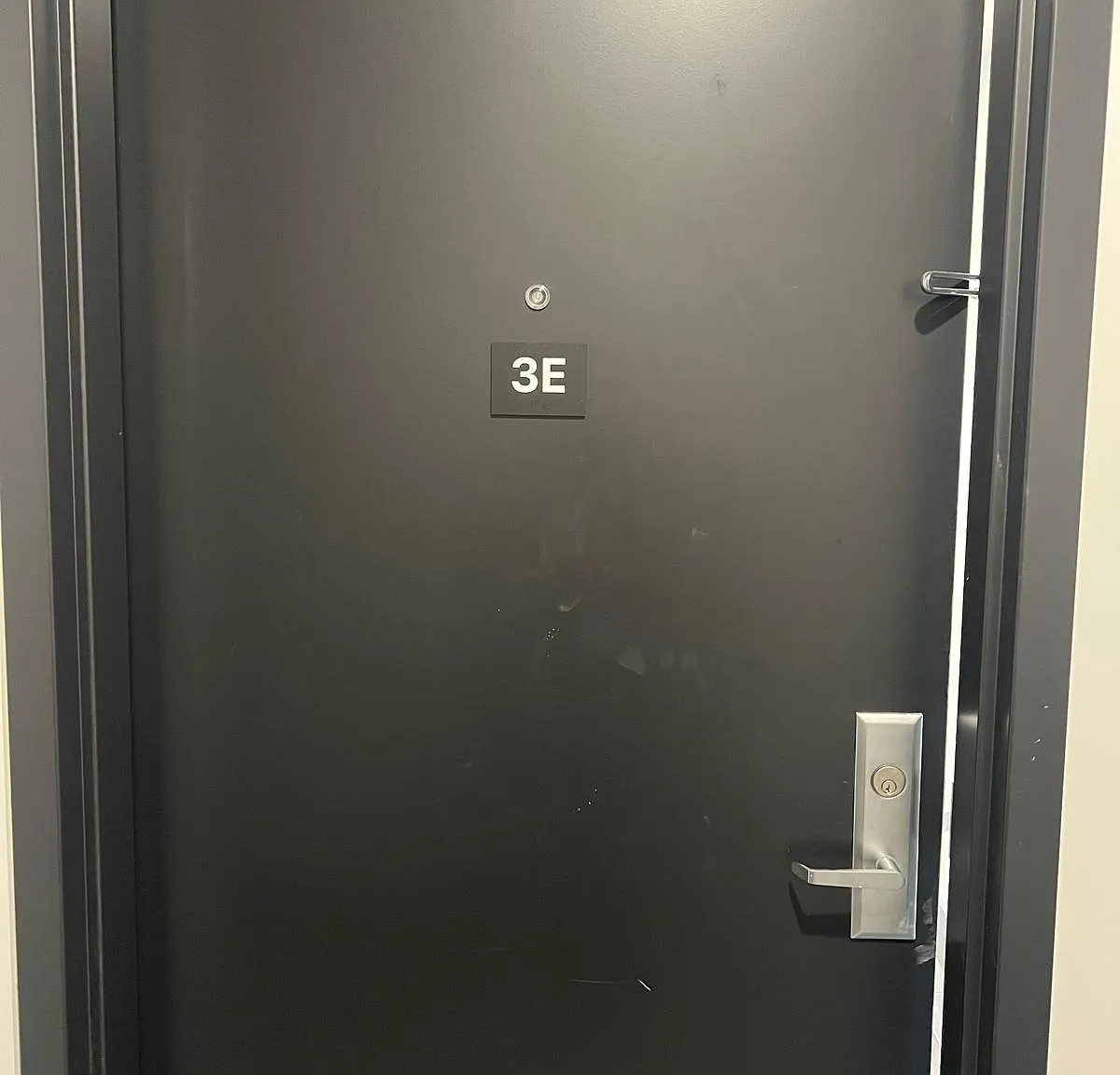 1 bed, 700 sqft, $2,762 — Photo 4