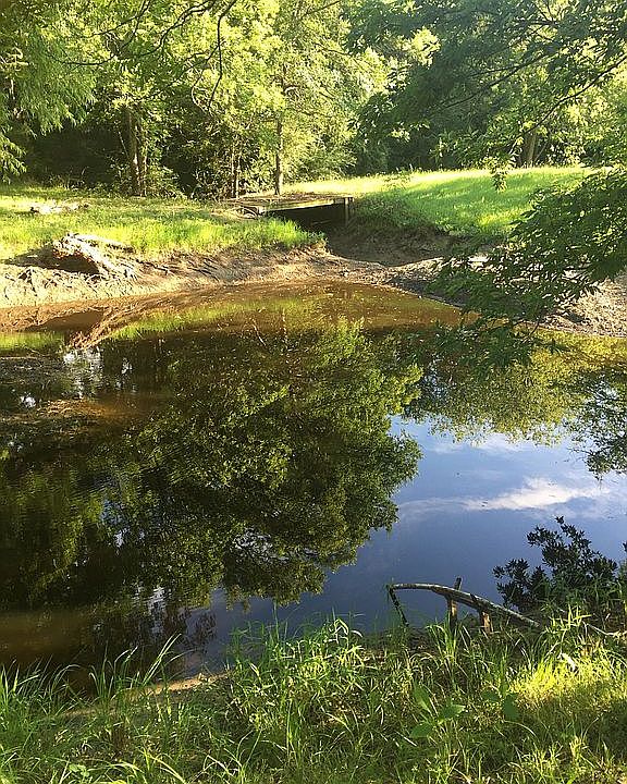 Main Pond with bridge