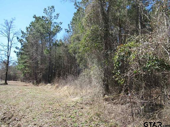 3rd image of 47.19 Ac Cres #3116