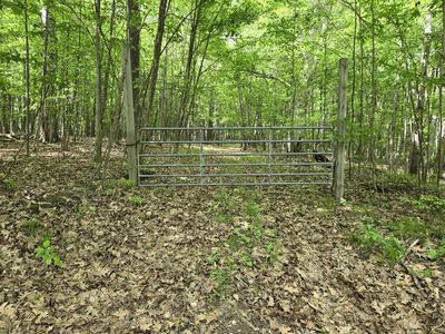 4500 W Wise Rd, Greenville, MI, 48838