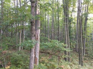 LOT 47 Blue Lake Dr, Gladwin, MI 48624