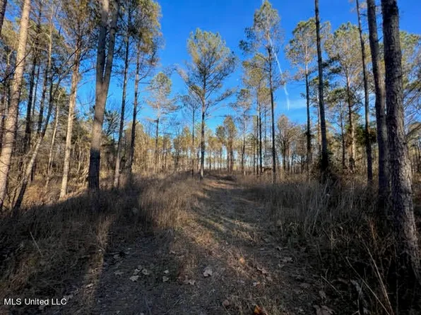 57AC Liberty Rd, Ashland, MS 38603