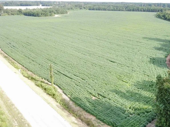 TBD Hwy 9, Green Sea, SC 29545