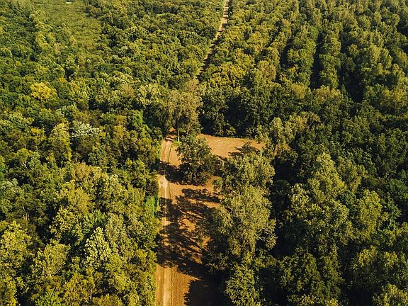 3rd image of 17 Miller Rd