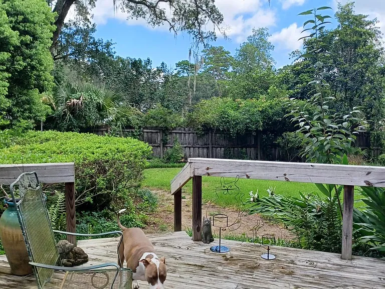 Back Yard and Deck
