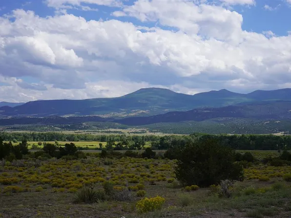 704 W Pfieffer Loop, South Fork, CO 81154