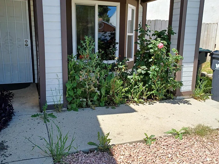 11929 Albion Way — Photo 4