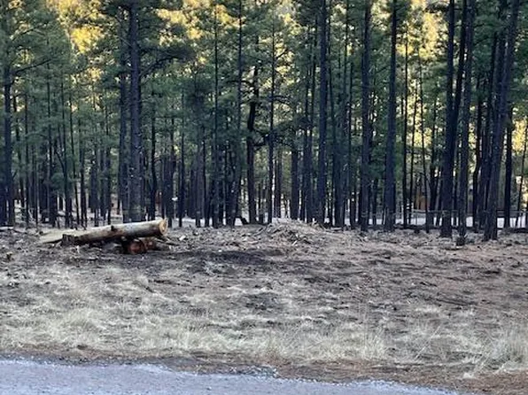 3 N 1025th St, Greer, AZ 85927
