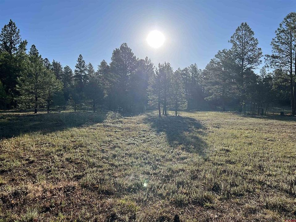 1336 Buttress Ave, Pagosa Springs, CO 81147 MLS 805018 Zillow