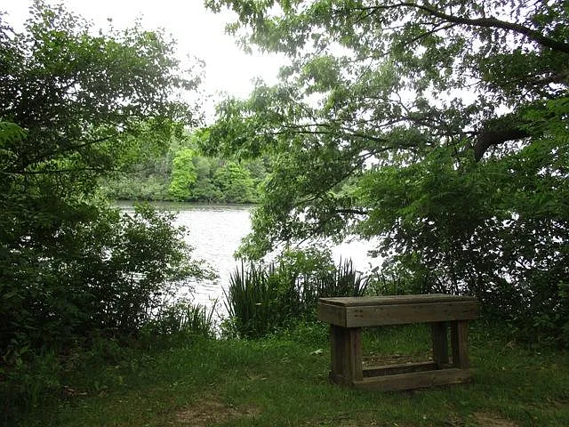 2 bed, 800 sqft, $1,200 — Photo 4