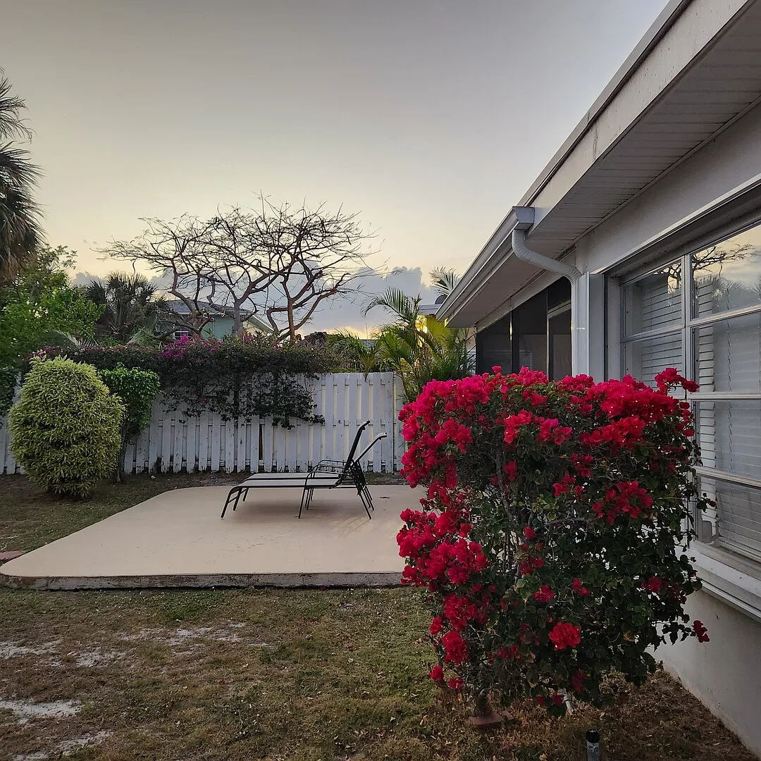 Eden Park Sparkling Spacious Home — Photo 4